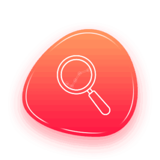 Domestic Software Solutions