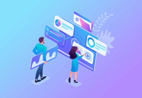Domestic Software Solutions